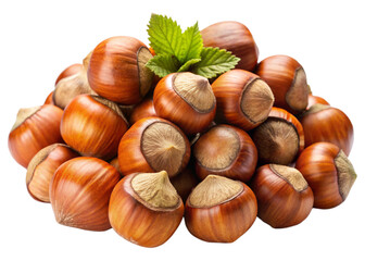 Obraz premium Hazelnuts isolated on white background
