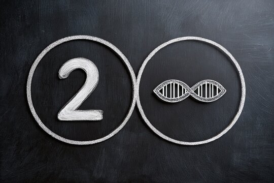 Chalkboard image, two circles, number "2" and DNA