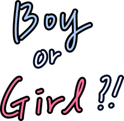 임신 젠더리빌 성별