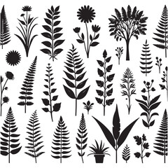 Flower Silhouettes  illustrations