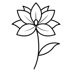 wedelia chinensis flower vector line art   on-white