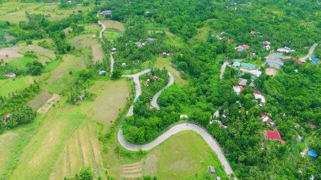 Aerial view of a winding road traversing through a vibrant green rural landscape with scattered houses and palm trees, Cebu, Philippines.