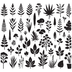 Flower Silhouettes  illustrations