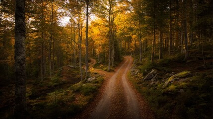 Fototapeta premium Winding Path Through an Autumn Forest