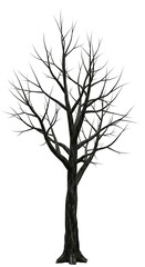 Obraz premium Winter's Embrace: A 3D Rendered Tree