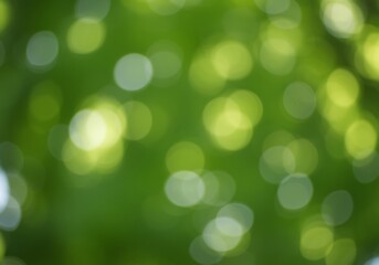 Obraz premium Abstract Green Bokeh Background with Defocused Lights and Natural Leafy Texture for Graphic Design and Web Projects