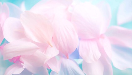 Fototapeta premium A close-up of soft pink and white flower petals on a blurred blue background, a dreamy and romantic image of nature, symbolizing tranquility and delicate beauty, perfect for a floral backdrop