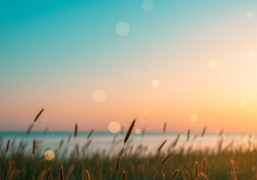 Golden hour over a serene ocean landscape with tall grass in foreground offering tranquility and peace