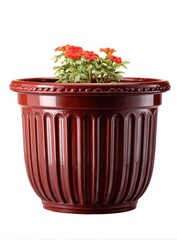 Deep maroon planter with small flowers