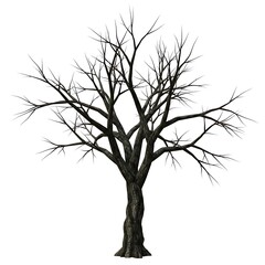 Fototapeta premium Winter's Embrace: A Skeletal Silhouette