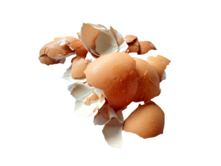Cracked eggshell with transparent background