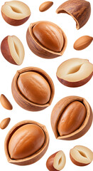 Fototapeta premium Close-up of unshelled and shelled argan nuts isolated on white background, natural healthy food ingredient