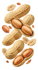 Close up of whole and peeled peanuts isolated on white background perfect for cooking and healthy snack imagery