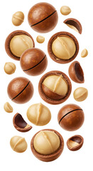 Fototapeta premium Close-up of whole and shelled macadamia nuts with shells and kernels isolated on white background, perfect for healthy snack and cooking visuals