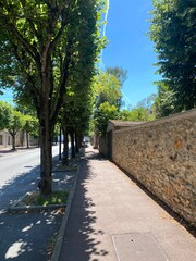 Tree-lined residential street with stone wall in Paris suburb, France