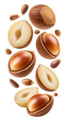 Hazelnuts with shells and kernels isolated on white background, fresh healthy nuts closeup, perfect for cooking and snacks