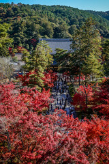 Beautiful autumn scenery in Kyoto, Japan