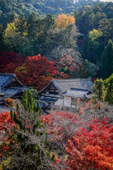 Beautiful autumn scenery in Kyoto, Japan