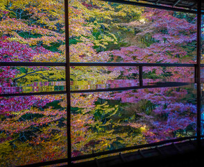 Beautiful autumn scenery in Kyoto, Japan