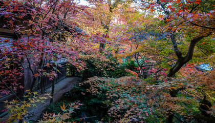 Beautiful autumn scenery in Kyoto, Japan