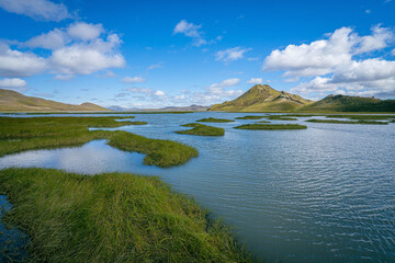 Peaceful highland lake with grassy islets and volcanic mountains in the distance under a bright blue sky in Iceland