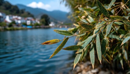 Riverbank bamboo leaves, village backdrop