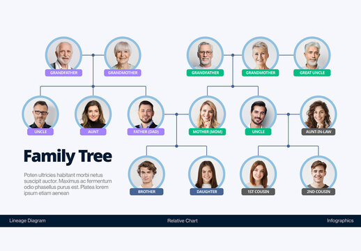 Family Tree Infographic & Organization Chart Layout for Company Org Charts