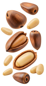 Close-up of pine nuts and pine cones isolated on white background, healthy nuts and seeds for cooking and snacking