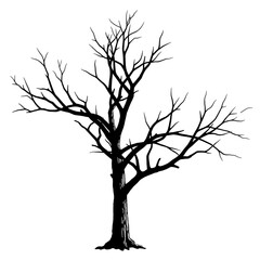 Obraz premium Winter's Embrace: A Skeletal Silhouette