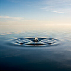 Water drop creating ripples on a calm lake surface under a clear sky.