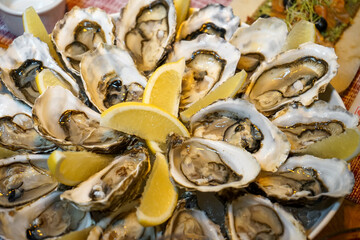large plate with oysters and lemons