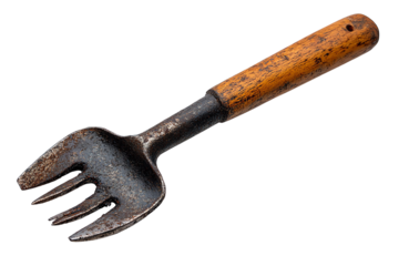 Gardening tool, a vintage hand cultivator with a wooden handle, isolated on a white background.