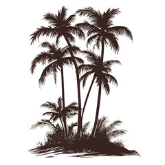 Tropical palm trees. Silhouette of palm trees on the island. Palm tree icon.transparent background 