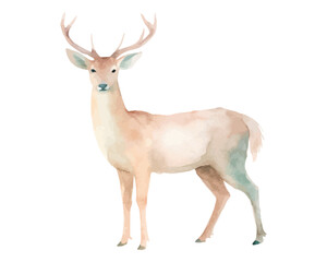 cute Watercolor woodland deer animals