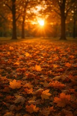 Warm Sunset Glow Illuminates Vibrant Autumn Leaves on Ground