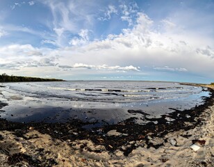 Coastal Oil Spill: Environmental Disaster on the Shoreline
