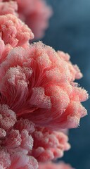 Close-up of delicate, pink, fluffy clusters resembling coral or abstract plant life
