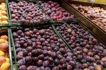 Fresh plums displayed in green trays at a supermarket fruit section