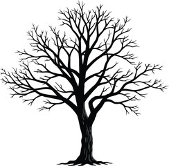 Obraz premium Majestic silhouette of a bare autumn tree on isolated vector