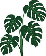 Vibrant green monstera deliciosa leaves tropical plant silhouette artistic vector art vector