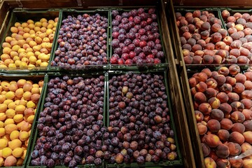 Supermarket fruit section with plums, peaches, and apricots on display