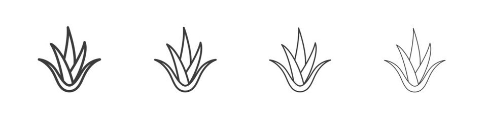 Aloe vera icon symbol. Vector isolated illustration.