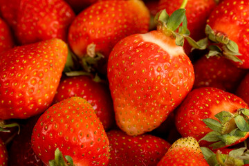 crated harvest of red sweet strawberries , red ripe strawberries after harvesting and preparing berries for sale