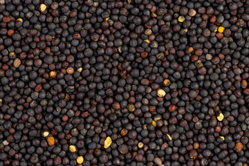 a large number of black rapeseed seeds are used to produce rapeseed oil, black rapeseed is used to produce food products