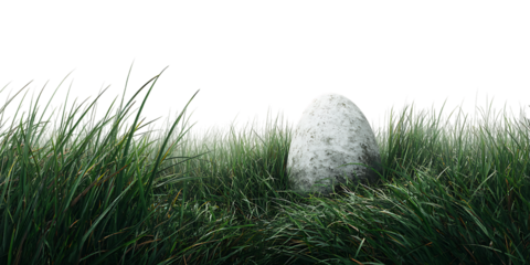 A large, white egg sits mysteriously in tall grass. New life, fantasy, mystery concept.