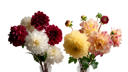 Colorful dahlia flowers in a vase against a dark backdrop.