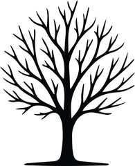 Obraz premium Illustrator Vector Leafless tree branches nature bare plant silhouette