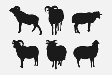 set of silhouettes of sheep with different poses, gestures. isolated on white background. vector illustration.