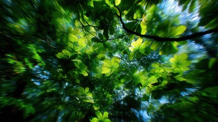 Green foliage canopy view