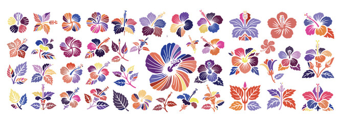 Vibrant hibiscus flower set features diverse styles in hues of orange, pink, purple, and blue with various petals and leaf arrangements, perfect for botanical themes